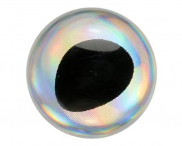 3D Epoxy Fish Eyes, Holographic Silver, 15 mm